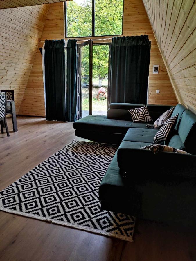 The Frog Glamping * Horezu