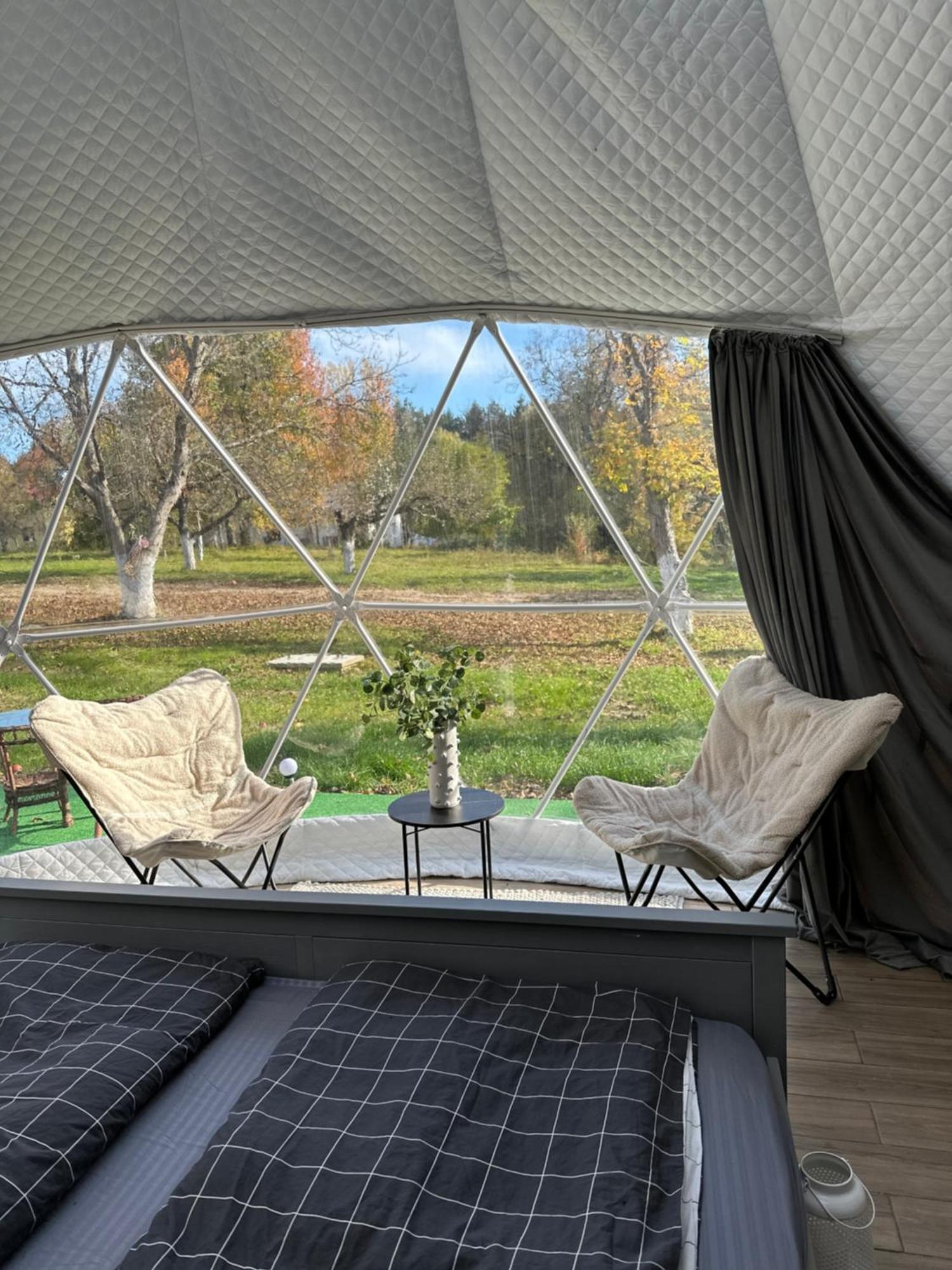 Camping The Frog Glamping