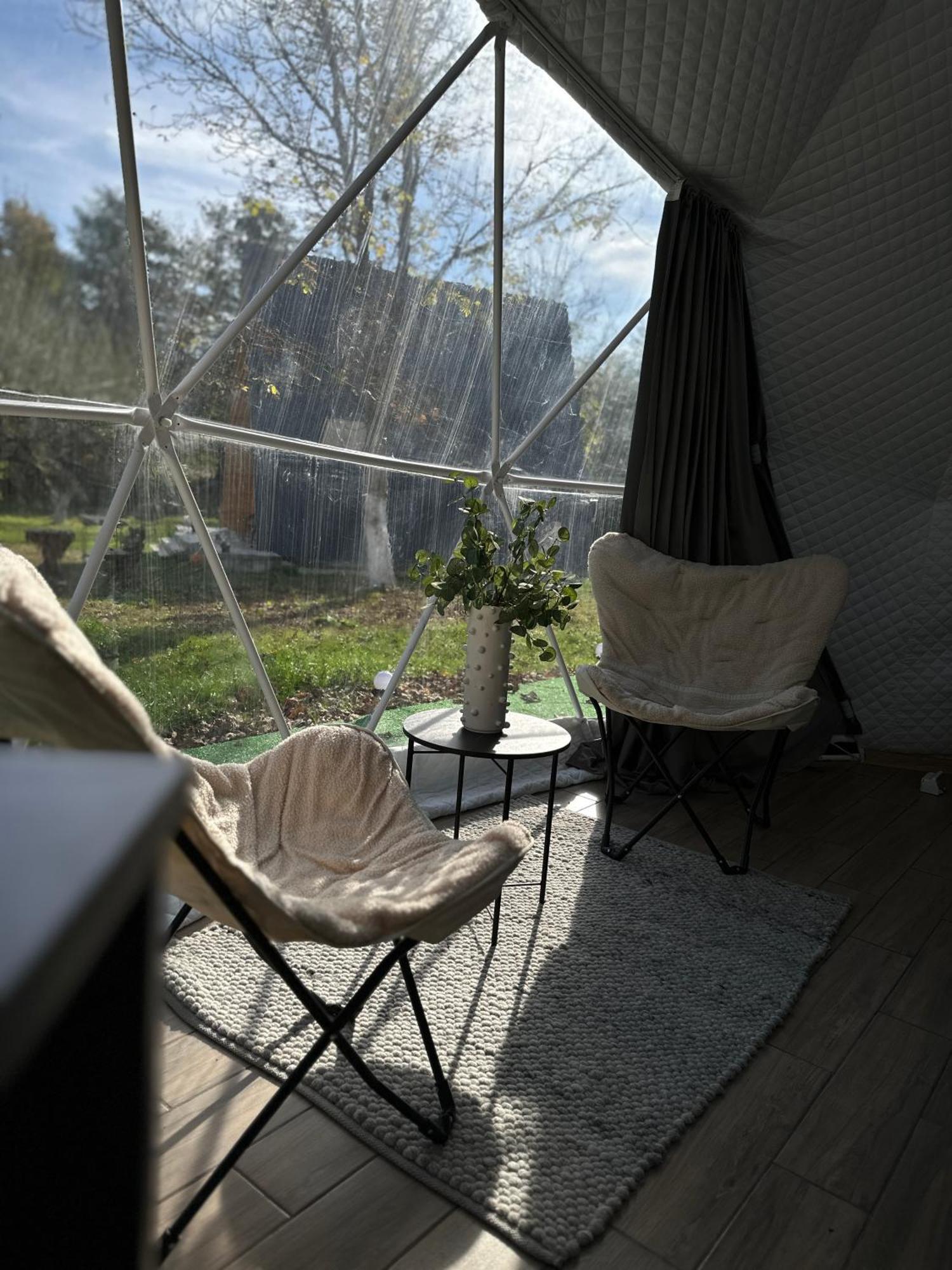 The Frog Glamping Camping Horezu