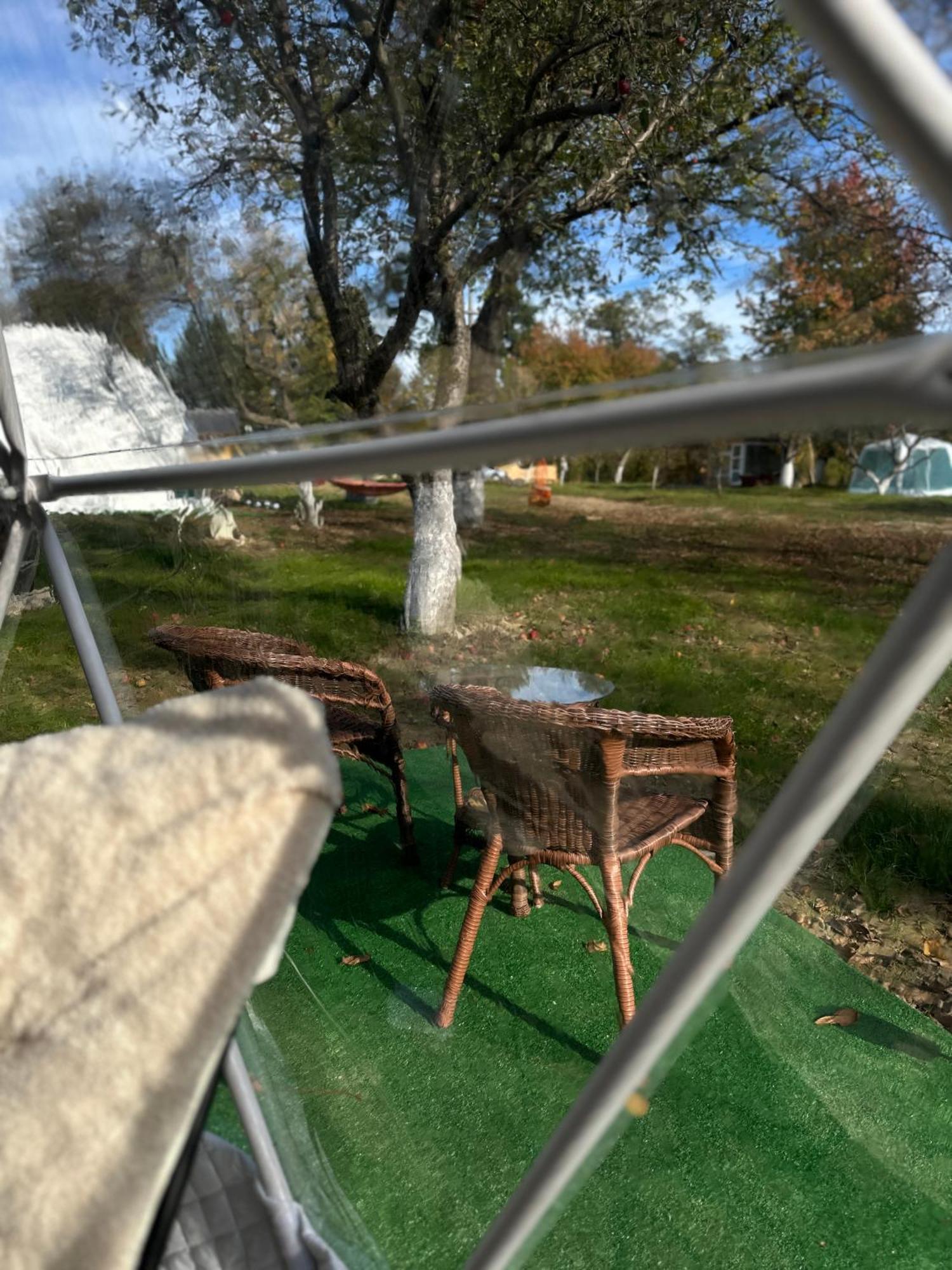 Camping The Frog Glamping Horezu
