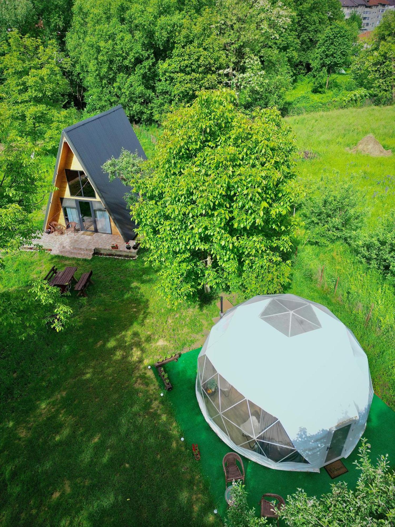 Camping The Frog Glamping