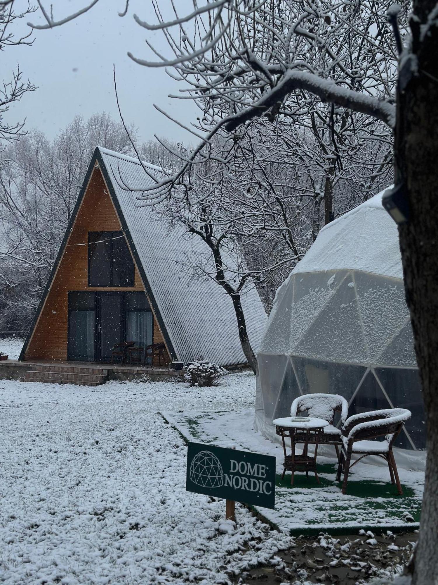 The Frog Glamping Camping *
