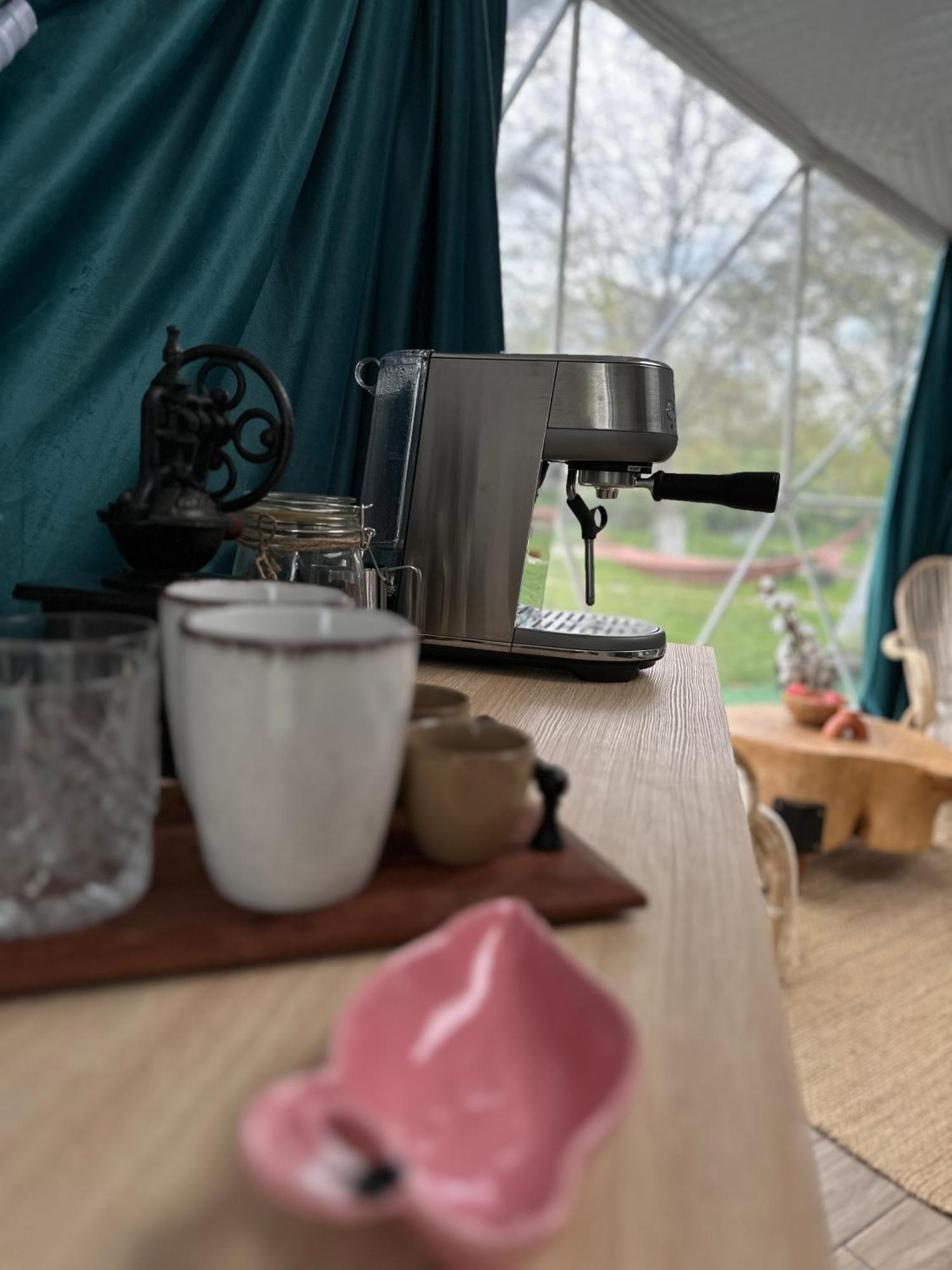 Camping The Frog Glamping Horezu