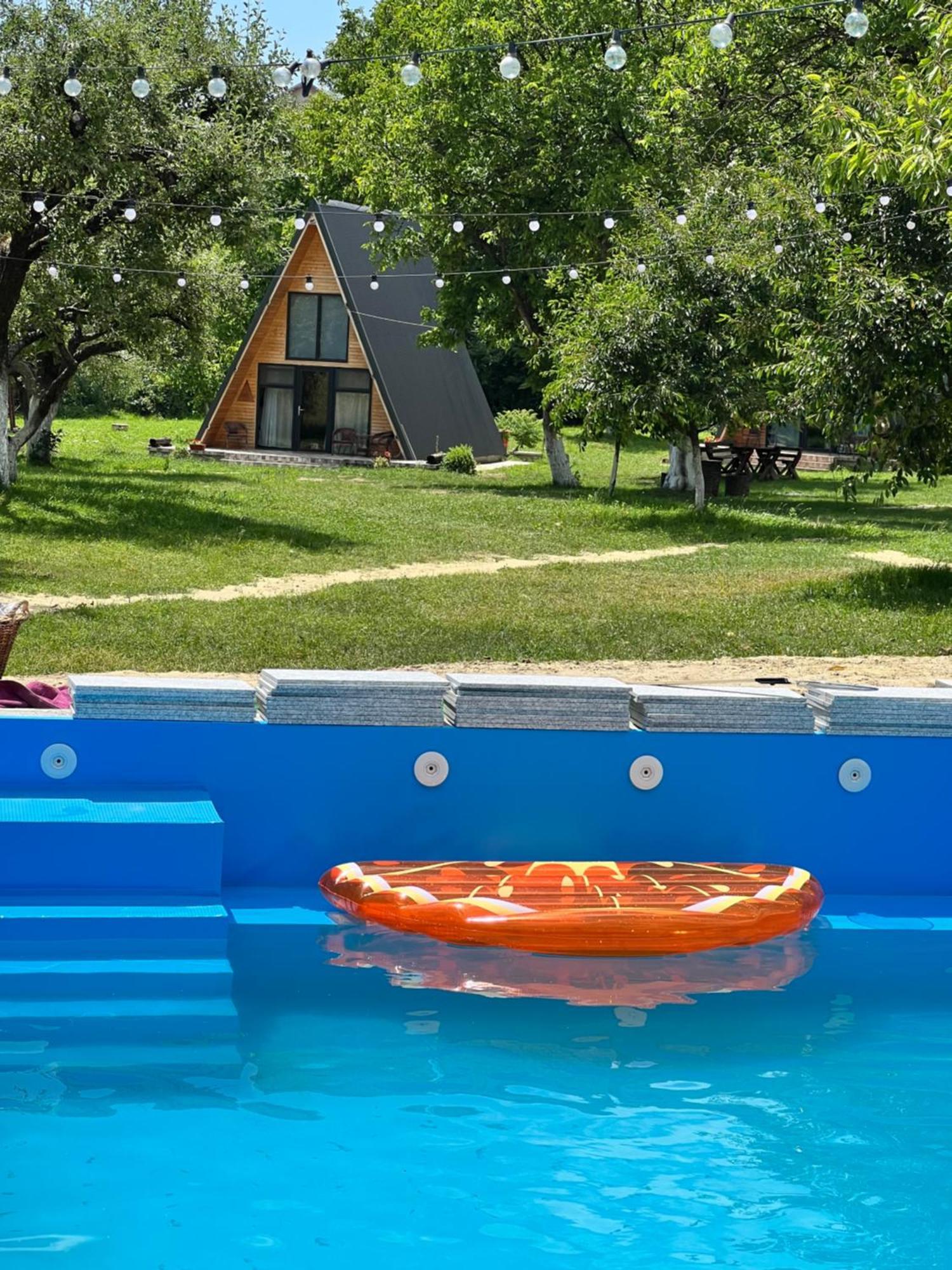 Camping The Frog Glamping Horezu